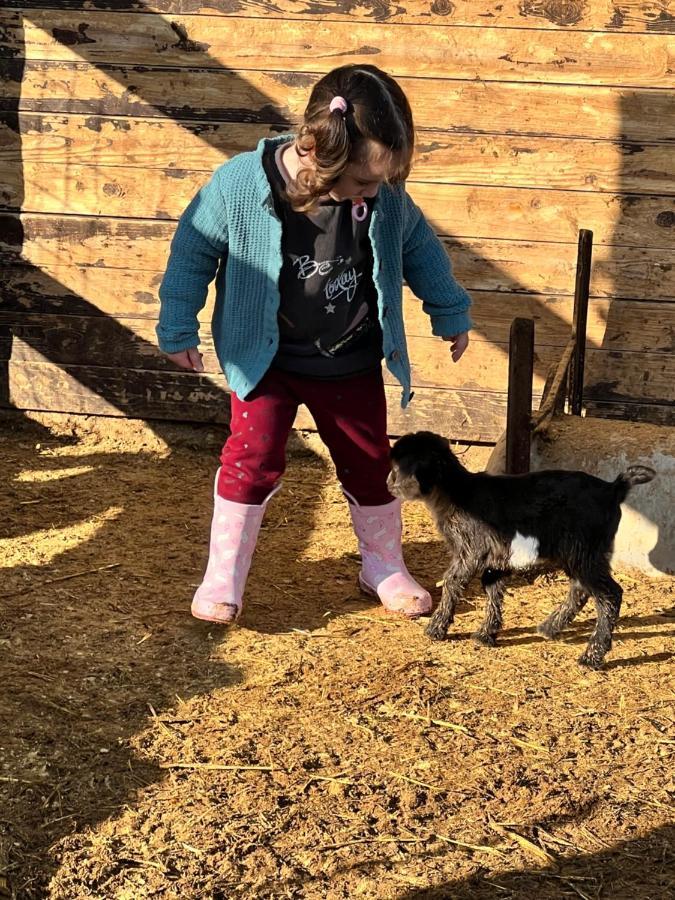 Giagias Family Farm Kranidi