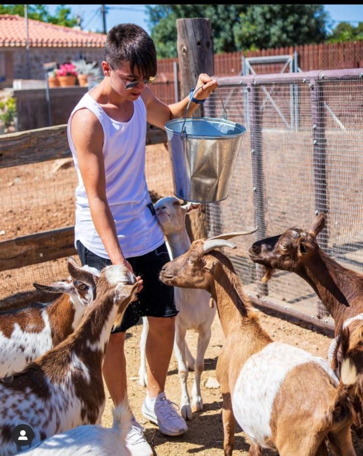 Giagias Family Farm Kranidi
