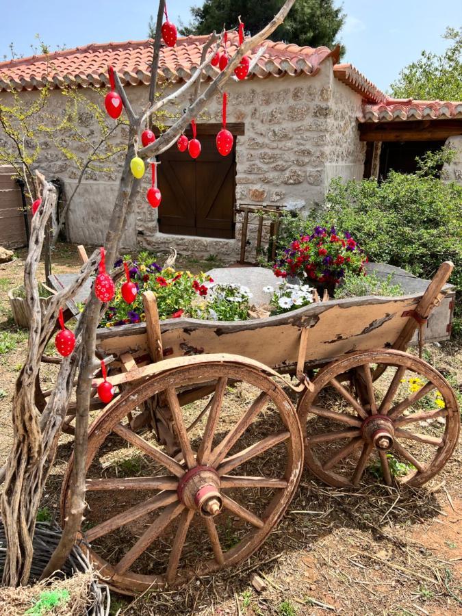 Giagias Family Farm * Kranidi