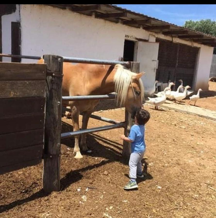 Giagias Family Farm *